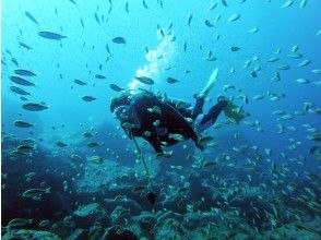 プランの魅力 蓝色的海 の画像