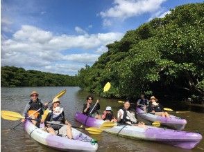 プランの魅力 Mangrove canoe with the whole family ☆ の画像