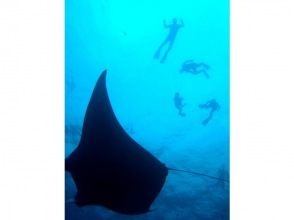 プランの魅力 manta の画像