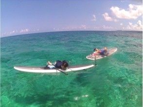 プランの魅力 SUP & snorkeling experience の画像