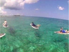 プランの魅力 潜水和浮潜经验 の画像