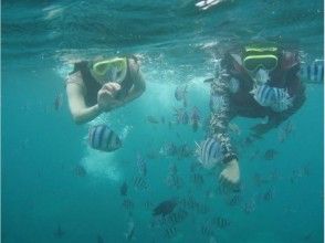 プランの魅力 UP & snorkeling experience の画像