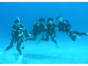 プランの魅力 Underwater commemorative photo! の画像