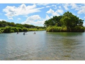 プランの魅力 A relaxing SUP experience in the calm and wide Katsura River! の画像