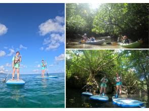 プランの魅力 海とマングローブを続けて体験 の画像