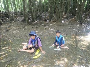 プランの魅力 ☆Playing in the muddy tidal flats☆ の画像