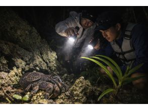 プランの魅力 普段会えない生き物と出会えるかも の画像