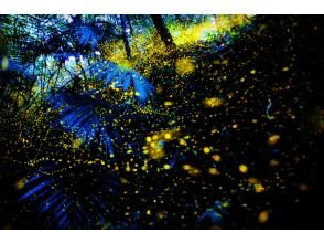 プランの魅力 季節によってさまざまな動植物をご案内。 の画像