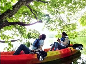 プランの魅力 In the shade of a tree in summer の画像