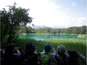 プランの魅力 沼の青さに感嘆! の画像
