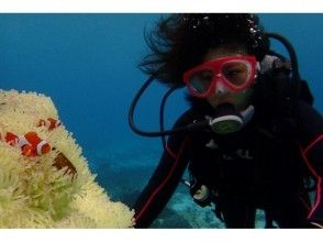 プランの魅力 水中写真プレゼント の画像