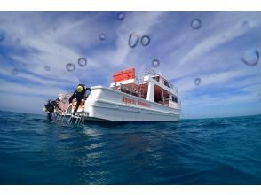 プランの魅力 large diving boat の画像