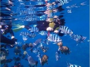 プランの魅力 การให้อาหารบริการฟรี の画像