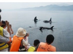 プランの魅力 感動の瞬間 の画像