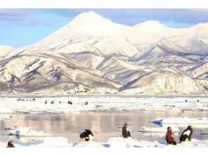 プランの魅力 絶景とワシ の画像