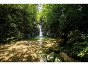 プランの魅力 The aim is a mysterious waterfall that few people set foot on の画像