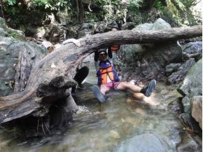 プランの魅力 激动人心的旅程。 の画像