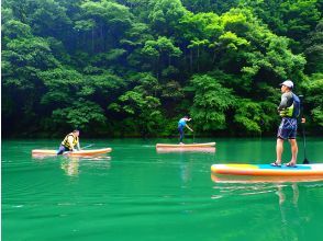 プランの魅力  の画像