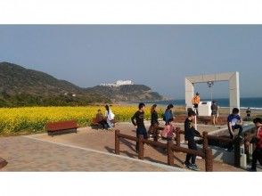 プランの魅力 ชายหาดโรแมนติกเดือน の画像