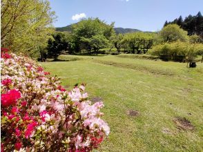 プランの魅力 Tent site の画像