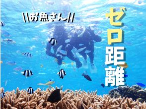 プランの魅力 天然の水族館 の画像