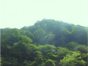 プランの魅力 奥多摩の山 の画像