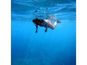 プランの魅力 Enjoy only to squeeze in snorkel. の画像