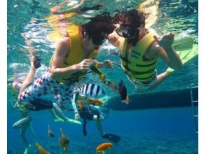 プランの魅力 Extremely snorkeling in the crystal clear sea の画像