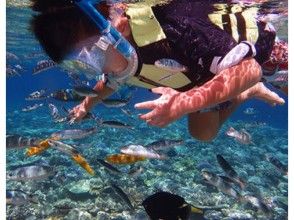 プランの魅力 You can also enjoy snorkeling. の画像