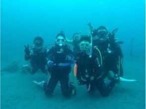 プランの魅力 In the marine training, you will also encounter sea creatures. You will acquire skills while feeling the joy of diving. の画像