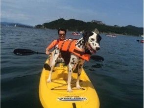 プランの魅力 Pets can also make a water walk together の画像