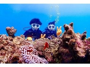 プランの魅力 クマノミさんとハイピース！ の画像