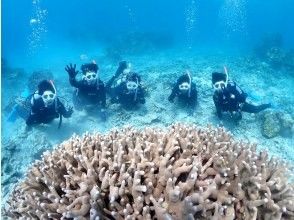 プランの魅力 卒業旅行、社員旅行などグループ大歓迎！ の画像