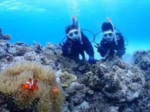 プランの魅力  の画像