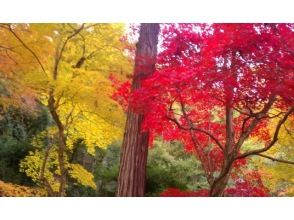 プランの魅力 の画像