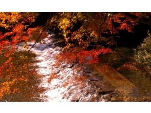 プランの魅力 の画像
