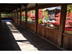 プランの魅力 の画像