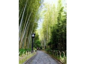 プランの魅力 Small diameter of bamboo forest の画像
