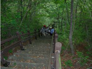 プランの魅力 陡峭的樓梯 の画像