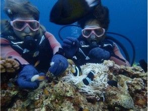 プランの魅力 第一次水下 の画像