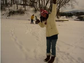 プランの魅力  の画像