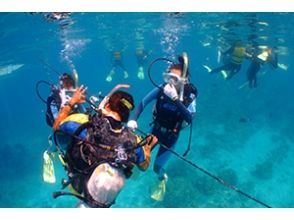 プランの魅力 Diving first in individual plan! の画像