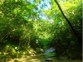 プランの魅力 川の真ん中をざぶざぶ！ の画像