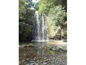プランの魅力 Beautiful waterfall の画像