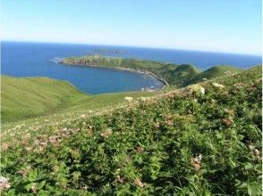 プランの魅力 여기서 밖에 볼 수없는 경치가 の画像