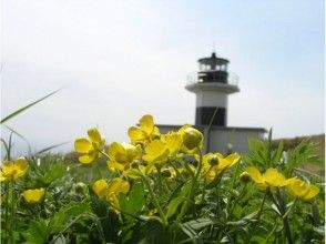 プランの魅力 梅花 の画像