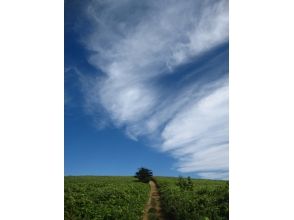 プランの魅力 藍色和白色和綠色 の画像