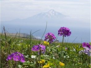 プランの魅力 Neighbor and flowers の画像