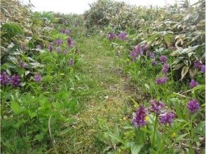 プランの魅力 Footpath of Hakusan plover の画像