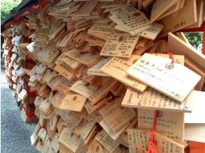 プランの魅力 恩基里·埃诺基（Enkiri Enoki） の画像